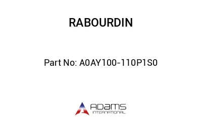 A0AY100-110P1S0