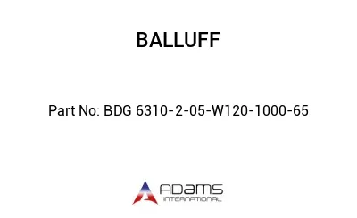 BDG 6310-2-05-W120-1000-65									
