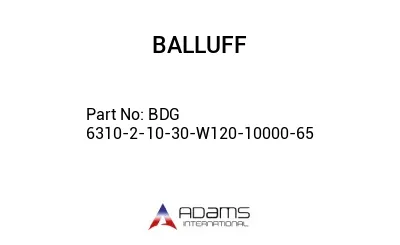 BDG 6310-2-10-30-W120-10000-65									