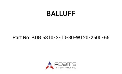 BDG 6310-2-10-30-W120-2500-65									