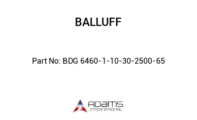 BDG 6460-1-10-30-2500-65									