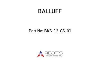 BKS-12-CS-01									