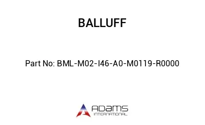 BML-M02-I46-A0-M0119-R0000									